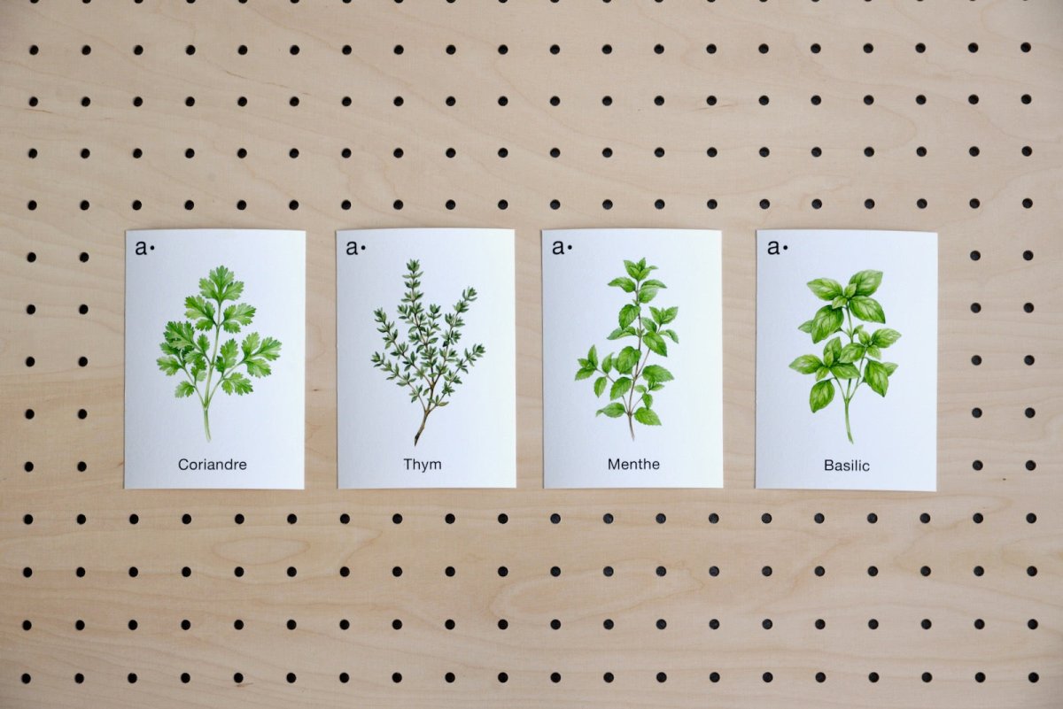 Cartes thématiques - Aire -  - 16