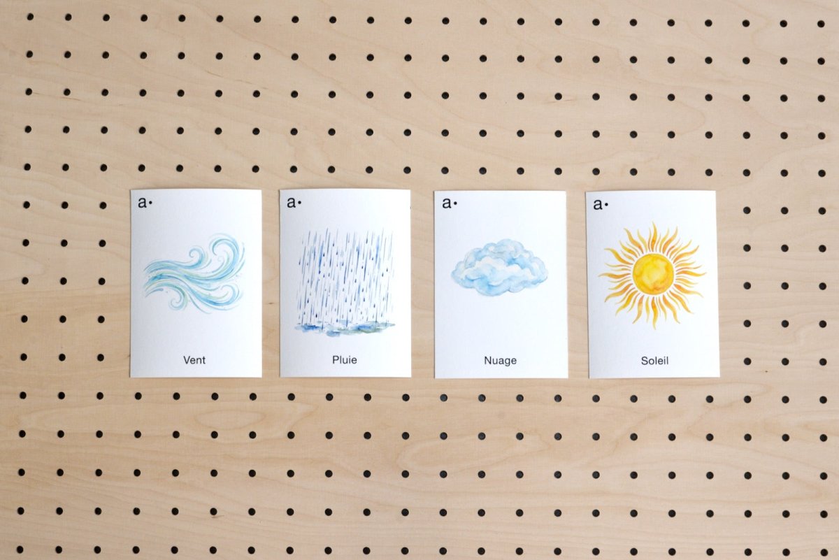 Cartes thématiques - Aire -  - 13