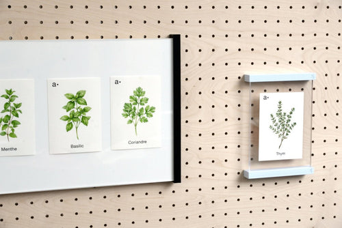 Cartes thématiques - Aire -  - 1