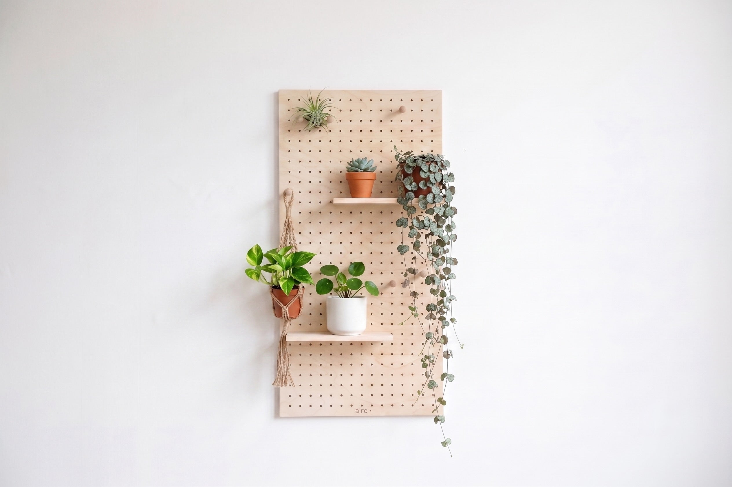 Pegboard aire avec plantes en pot suspendues